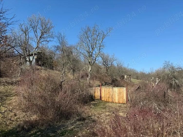 Casă cu 3 camere cu Teren 8000 Mp în Dumbrăvița