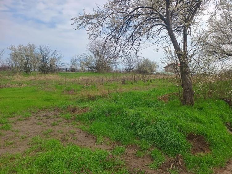 Teren agricol intravilan de 2648 mp, în Tânganu