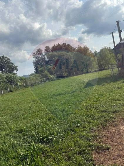 Teren de 4135 mp, în Sarasău