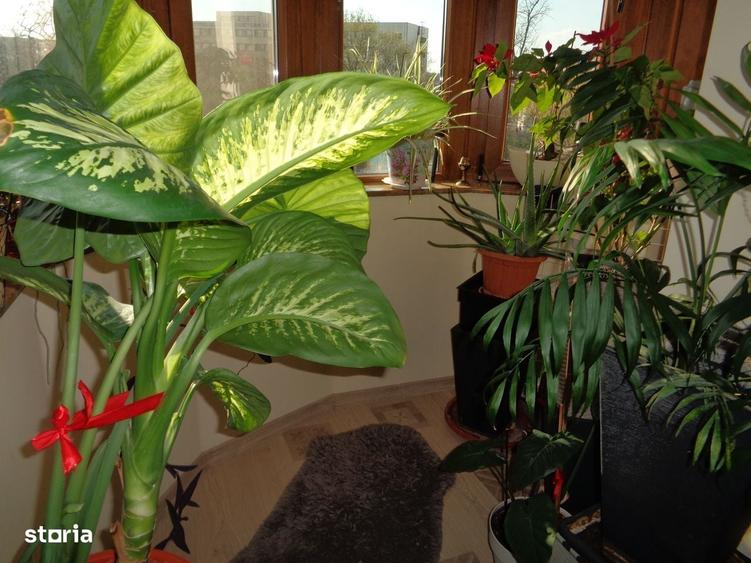 Apartament cu 2 camere în Intim
