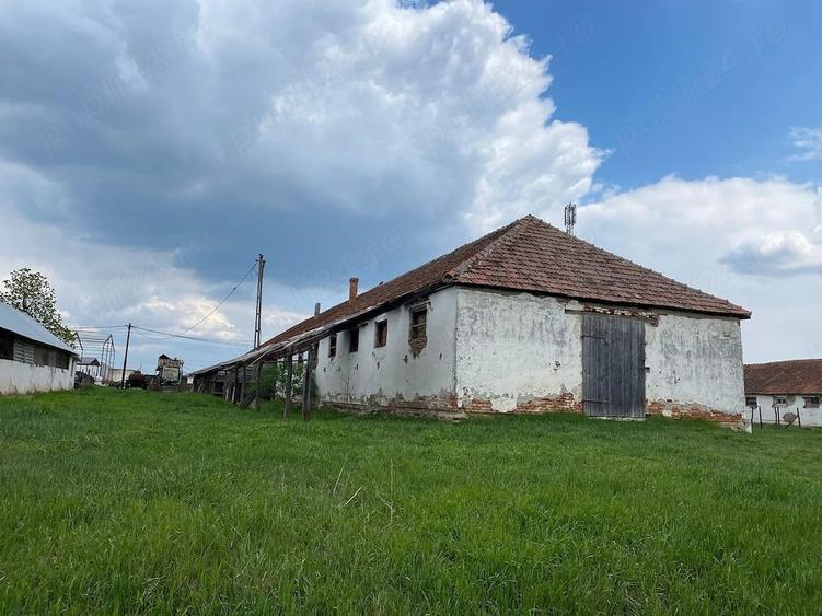 Teren de 1653 mp, în Fibiș