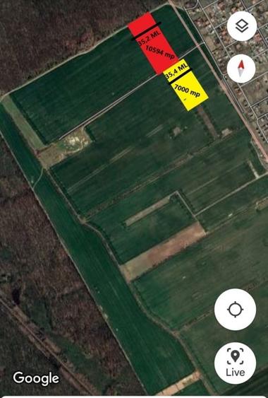 Teren Construcții intravilan de 10594 mp, în Buftea