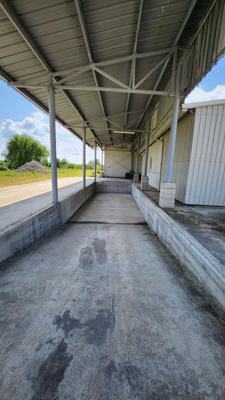 Spațiu industrial, de 5,926 mp, în Tomnatic