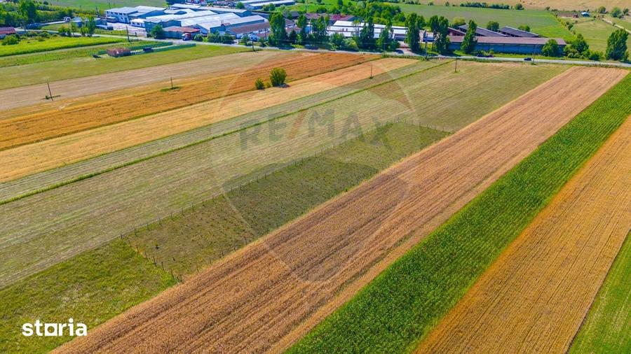 Teren de 7000 mp, în Teliu