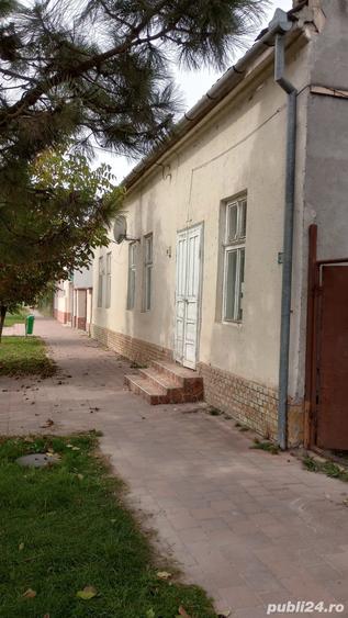 Casă cu 2 camere cu Teren 2400 Mp în Beba Veche