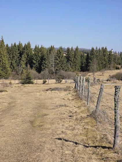 Teren de 1700 mp, în Beliș