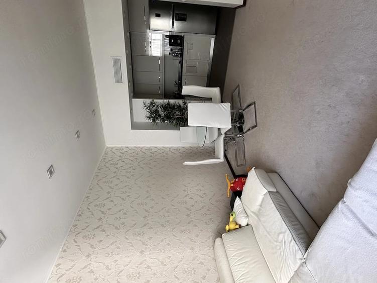 Sectorul 4, Rin Grand Residence, 2 camere mobilate si utilate - 2