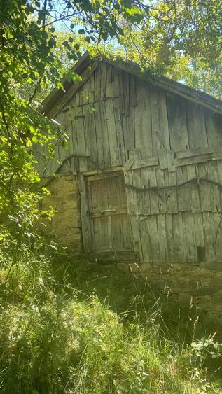 Teren de 20000 mp, în Central
