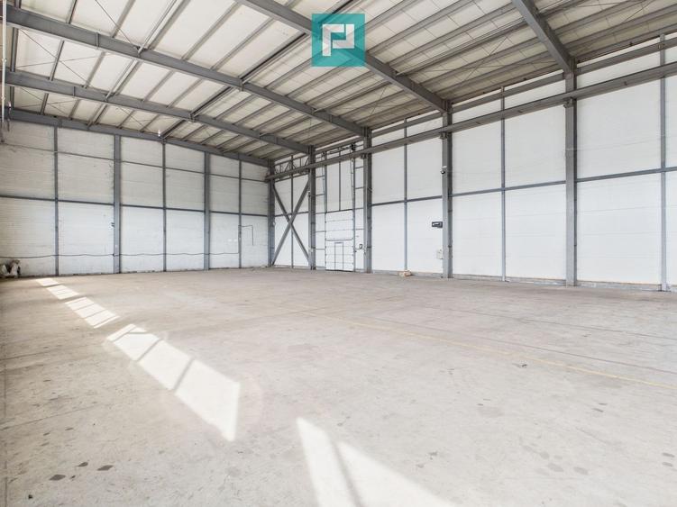 Spațiu industrial, de 1,087 mp, în Aradul Nou