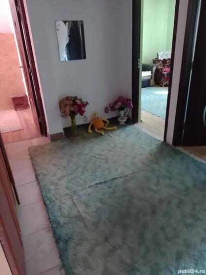 Apartament cu 3 camere în Gogoșu