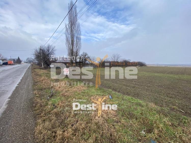 Teren Construcții intravilan de 7200 mp, în Doina
