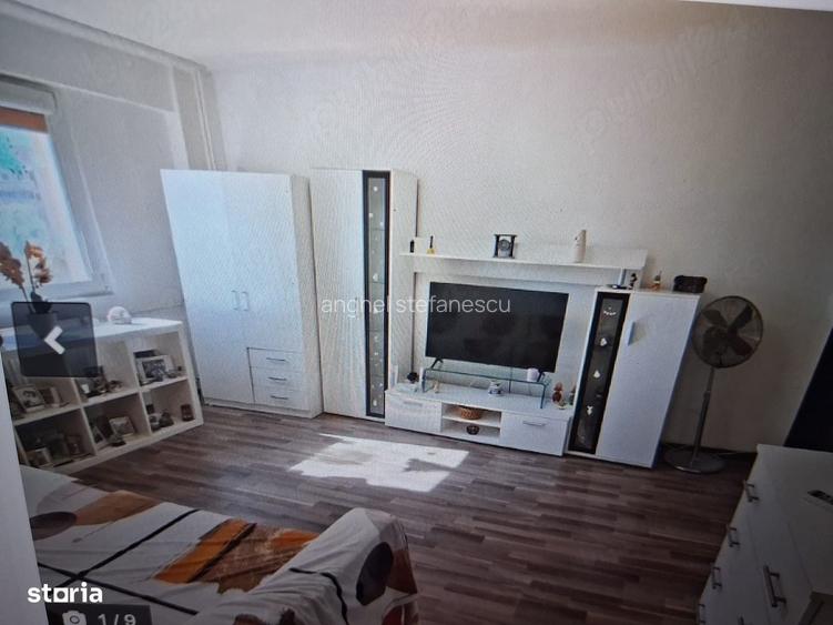 apartament 2 camere teiul doamnei