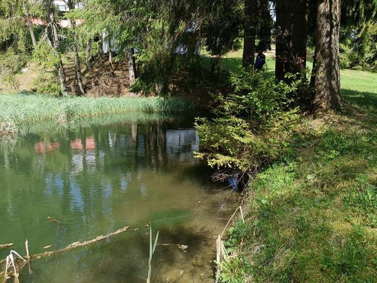 Casă cu 2 camere cu Teren 50 Mp în Piatra