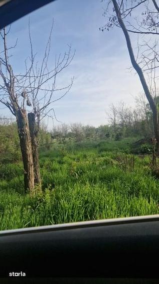 Teren de 1800 mp, în Iepurești