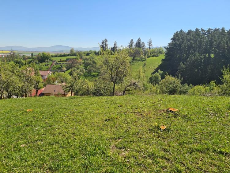 Teren Construcții intravilan de 1500 mp, în Poiana Angelescu