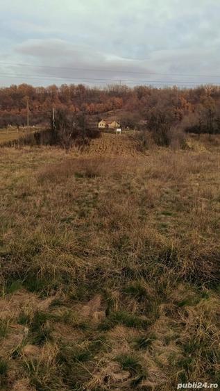 Teren de 734 mp, în Plugova