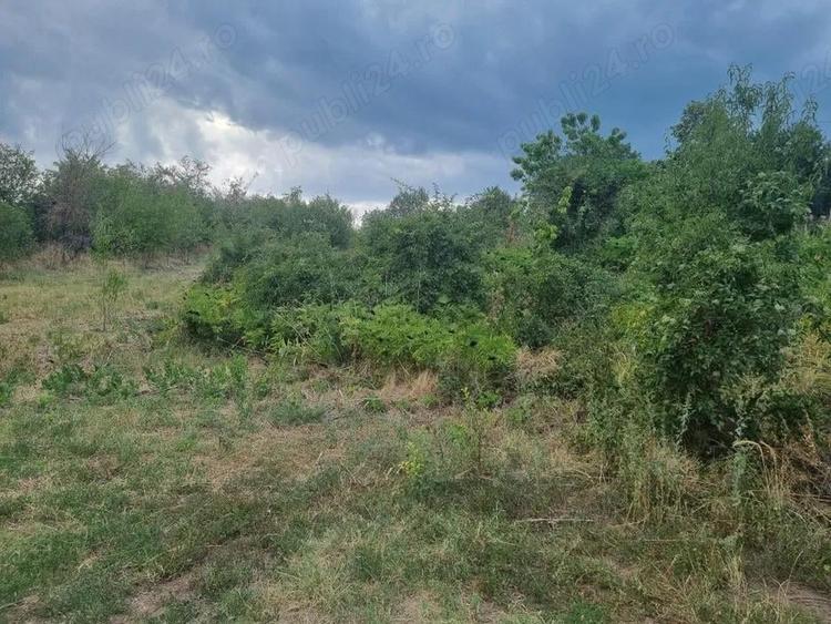 Teren de 1786 mp, în Nenciu