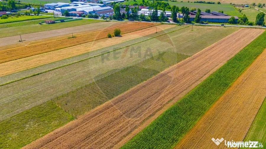 Teren de 7000 mp, în Teliu
