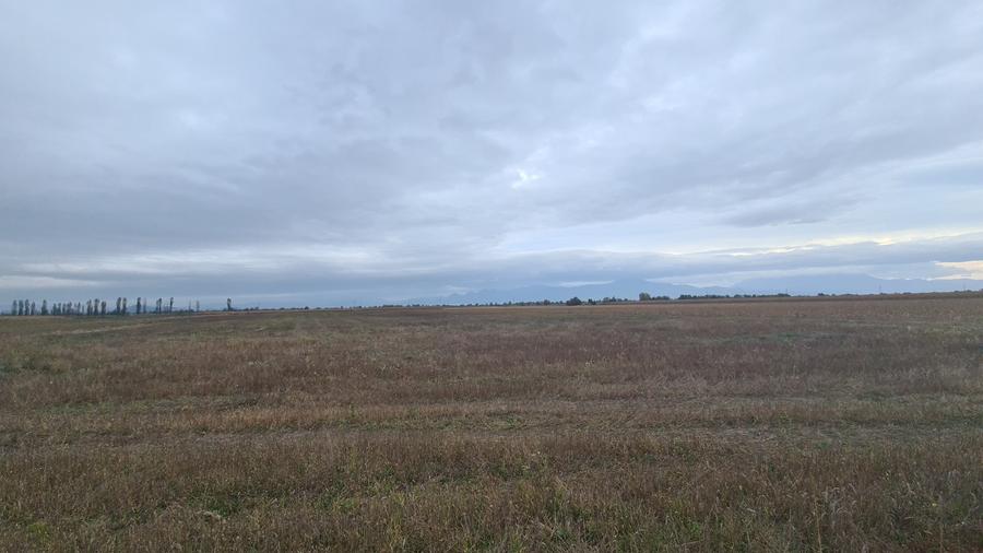 Teren agricol extravilan de 48100 mp, în Hălchiu
