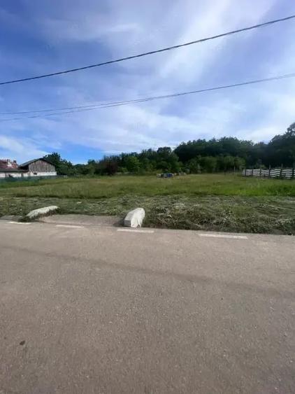 Teren de 600 mp, în Bascov