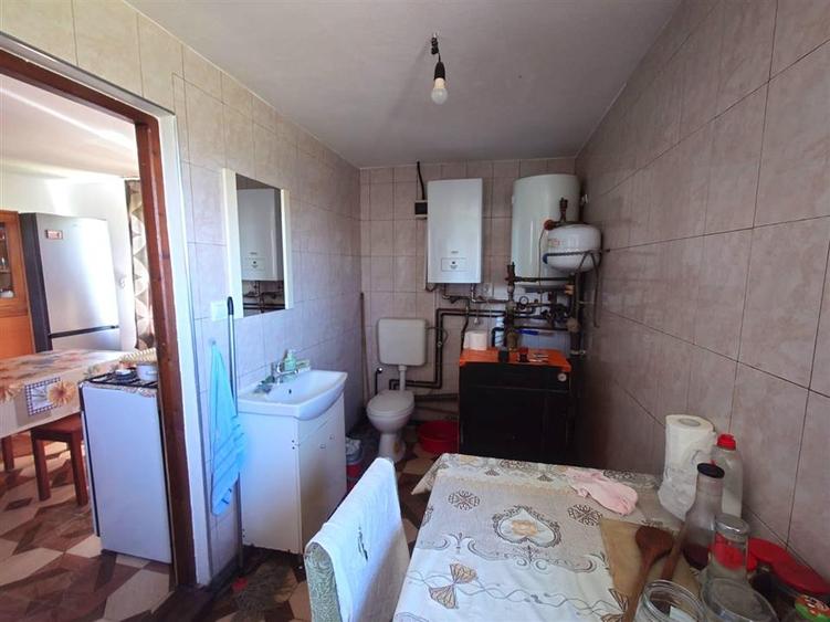 Casă individuală cu 4 camere cu Teren 3892 Mp în Baia de Criș