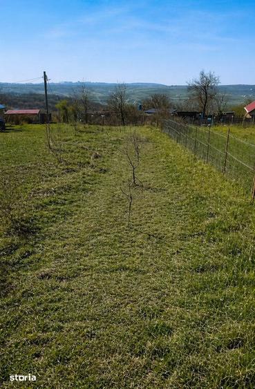 Teren de 1000 mp, în Aroneanu