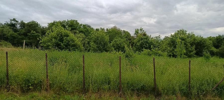 Teren de 2300 mp, în Ilimbav