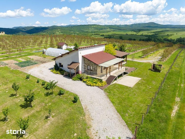 Casă cu 4 camere cu Teren 68800 Mp în Dumbrăvița