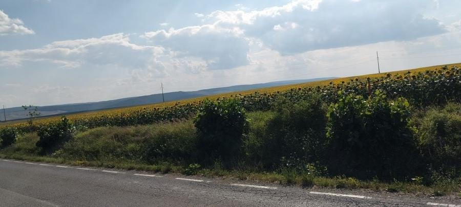 Teren de 14000 mp, în Miroslava