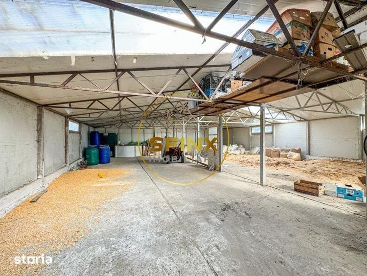 Teren de 29000 mp, în Nicolae Bălcescu