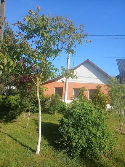 Casă cu 4 camere cu Teren 800 Mp în Bodo