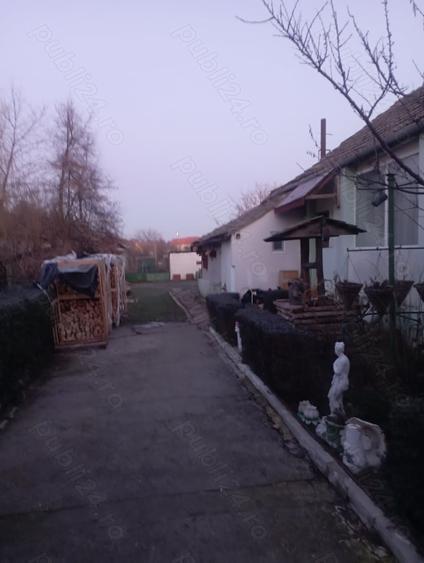 Casă cu 6 camere cu Teren 3100 Mp în Pișchia