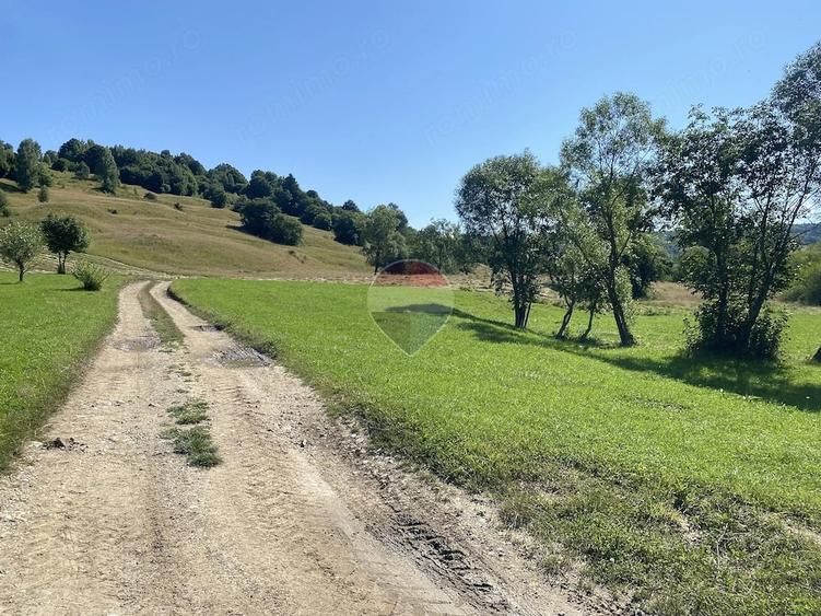 Teren de 4306 mp, în Vama Buzăului