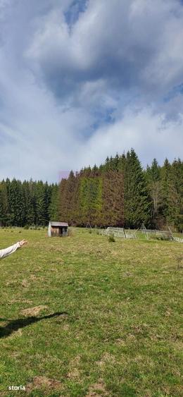 Teren intravilan 2500 mp in Valea Doftanei - 7