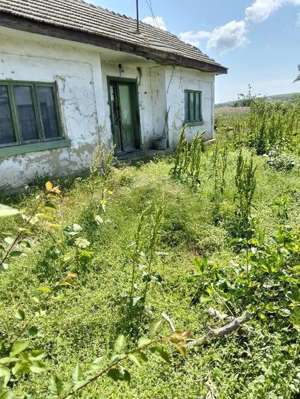 Casă cu Teren 370 Mp în Central