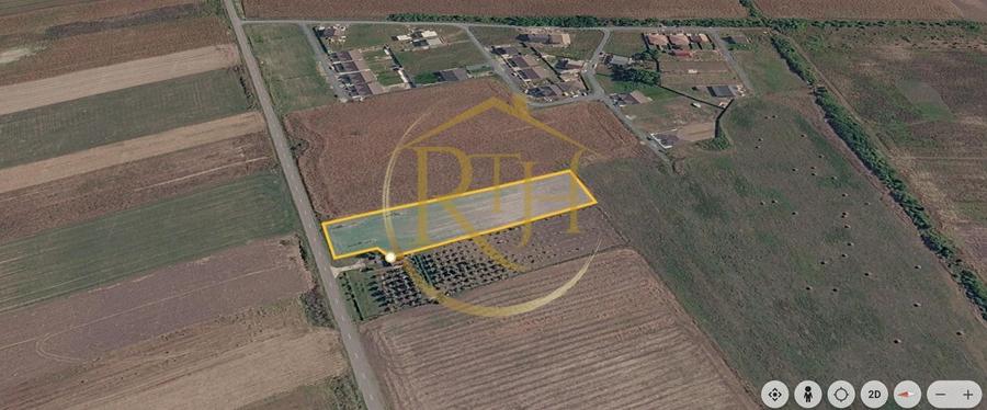 Teren agricol intravilan de 5000 mp, în Bucovăț (Remetea Mare)