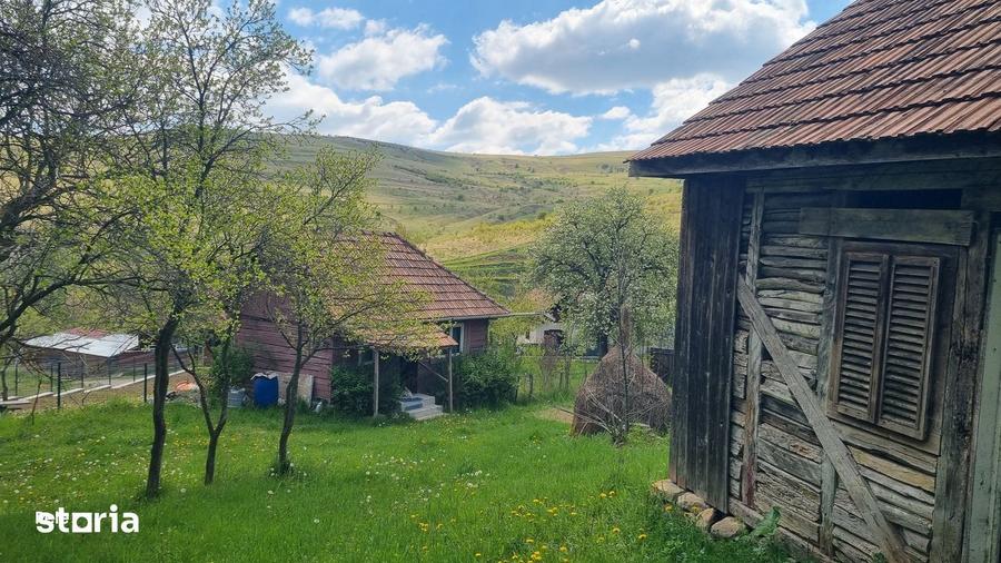 Casă cu 1 camere cu Teren 3750 Mp în Ciurila