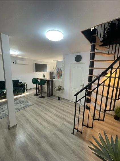 Surduc Lake house 574 - 1