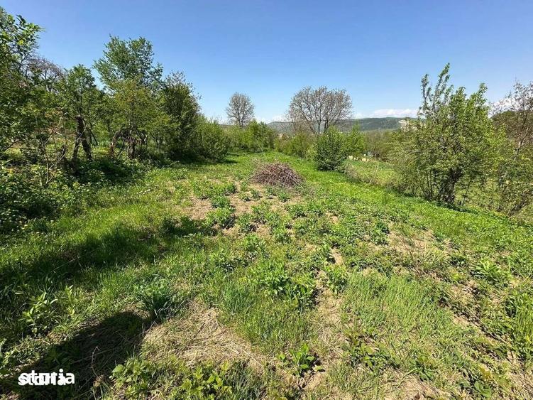 Casă cu 2 camere cu Teren 2982 Mp în Adămuș