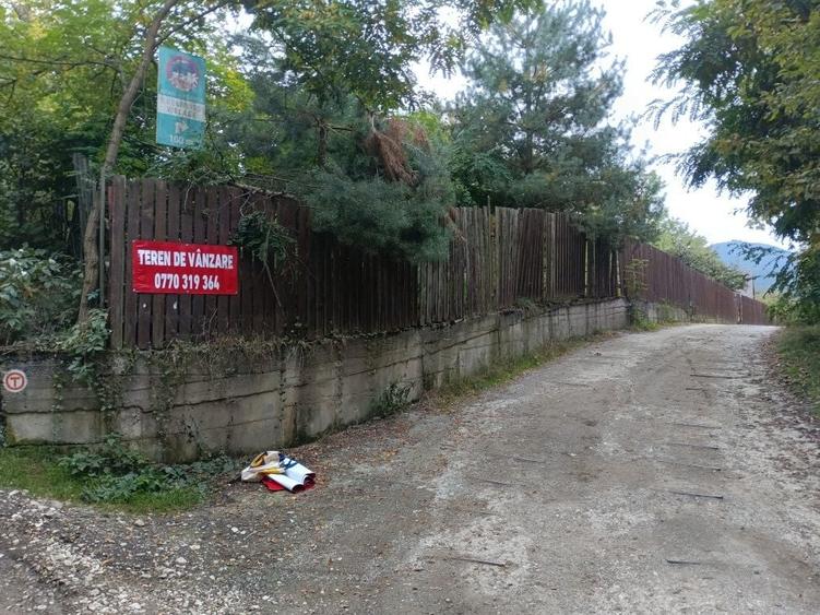 Spațiu comercial, în Bran