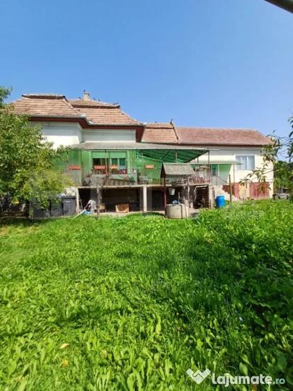 Casă cu 4 camere cu Teren 1860 Mp în Viișoara