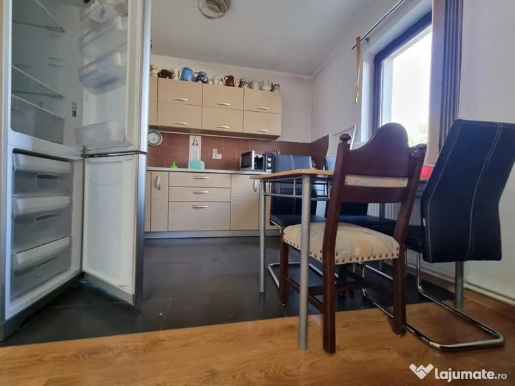 Casa cu trandafiri din Letea Veche, construc?ie 2013 - 10