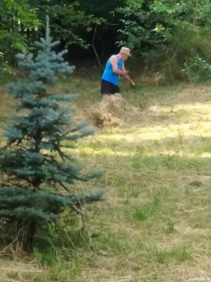 Teren de 1000 mp, în Jiblea Veche