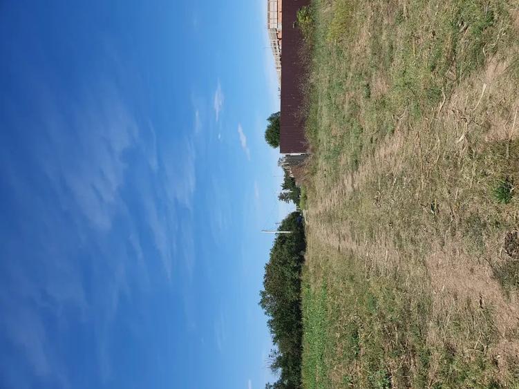 Teren de 1300 mp, în Clejani