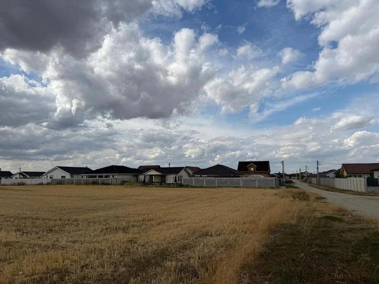 Teren de 10000 mp, în Sântandrei