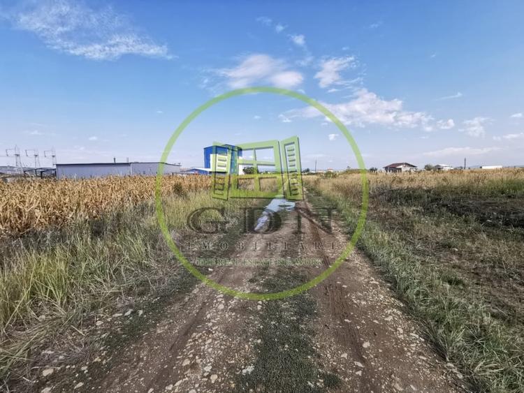 Teren Construcții intravilan de 5840 mp, în Oșorhei