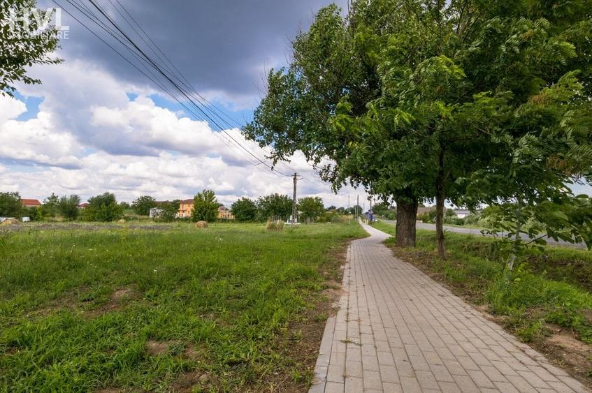 Teren Construcții intravilan de 2305 mp, în Bodrogu Nou