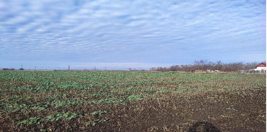 Teren agricol intravilan de 3500 mp, în Dragoș Vodă
