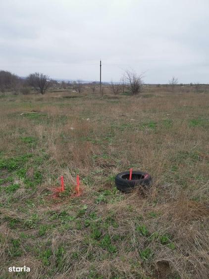 TEREN INTRAVILAN 306 mp Palazu Mare, Constanta - Ocazie Unica - 3