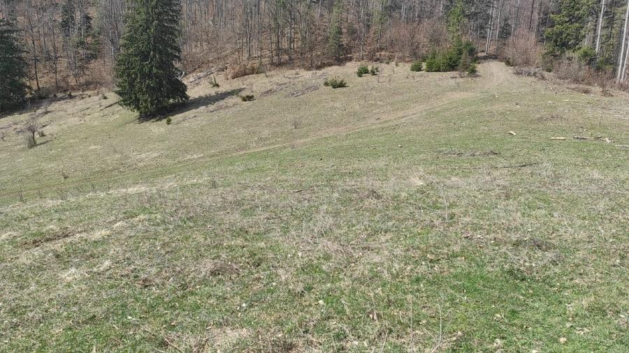 Teren intravilan de 22200 mp, în Lepșa